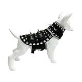 Jlobnyiun Weste mit Spitzen für kleine Hunde – Weste mit Spitzen für...