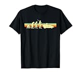 Evolution Velomobil T-Shirt