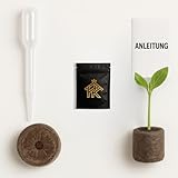 HOMEKING Anzuchtset für Einsteiger & Profis – Komplettset mit Bio...