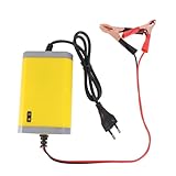 MAGICLULU Motorradbatterie Ladegerät mit Anzeige Automatischer...