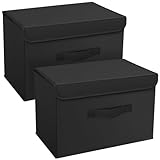 DIMJ 2 Stück Aufbewahrungsboxen mit Deckel, Faltbare Aufbewahrungskiste...