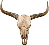Wandhalterung Tier Long-Horn Kuh Schädel Harz Kopf Hängende Skulptur...