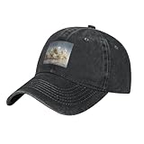 MJHKXLJ Black Aldult Denim Baseball Cap Frozen Jasmine Picture Adjustable...