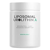 Liposomales Urolithin A – Verbesserte Bioverfügbarkeit verbessert die...