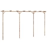 vidaXL Pergola, Rankhilfe für Kletterpflanzen, Gartenpergola für Garten...