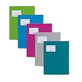 Brunnen | 5 Schnellhefter FACT!pp (A4, transluzent, mit Namensschild,...