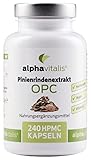500 mg Pinienrindenextrakt Kapseln mit OPC + natürliches Vitamin C - ohne...