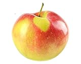 Malus Domestica 'Elstar' Apfelbaum Halbstamm 100-120 cm - Topfgewachsener...