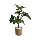 Kleine Pflanzen – Mini-Pflanze, Maßstab 1:6, Miniatur-Grün-Modell,...