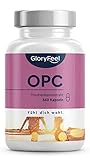 OPC Traubenkernextrakt 360 Kapseln - 1.000mg reines OPC pro Tagesdosis +...