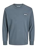 JACK & JONES Jjyuki Tee Ls Crew Neck Pls - Plus Size