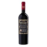 Doppio Passo Riserva Rot, trocken (1 x 0,75 l)