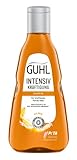 Guhl Intensiv Kräftigung Shampoo - 2er Pack - 2 x 250 ml - Haartyp: normal