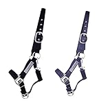 NETPROSHOP Sicherheitshalfter Weidehalfter gepolstert Größe Pony, Cob,...