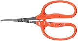Edelstahl-Schere mit Fluor-Beschichtung von Chikamasa, B-500sf...