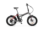 Argento Unisex – Erwachsene Mini Max E-Fahrrad, Grau, Einer Größe