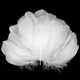 AOOTE Weiße Federn zum Basteln,100 Stück Deko Federn,6~12cm,Natürliche...