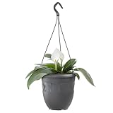 Plastard Blumentopf Hängeampel 15 cm Durchmesser Farbe Anthrazit,...