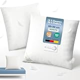 Beautissu 2er Set Daunenkissen 80x80 – Kopfkissen 80x80 Daunen & Federn...