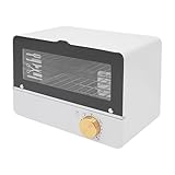 Sterilisator für Instrumente, UV Sterilisator & UV Desinfektionsgerät...