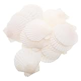 DIYEAH 21 Stück Natürliche Jakobsmuscheln 6 8cm Selbstgemacht Muschel...