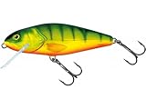 Salmo Perch Wobbler Jerkbaits für Hecht Zander Barsch Hechtköder...