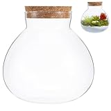 jojofuny Mikro Landschaftsflasche aus Robustem Glas 15X16cm Luftdichter...
