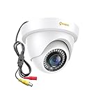 Anlapus HD 1080P Outdoor Dome Überwachungskamera 4-in-1 Kamera mit OSD...