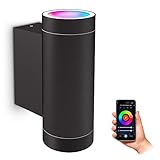 SSC-LUXon ESMA Smart Wandlampe für Außen IP54 inkl. 2x WiFi RGB GU10 LED...
