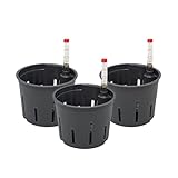 Leni Kulturtopf für Hydrokultur-Systeme Set mit Wasserstandsanzeiger |...