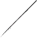 Balzer Diabolo Fury Tele Stellfisch Hecht 8m 60-165g