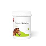 PHA Muskel & Leistung für Pferde – Mineralstoffe und Vitamine für...