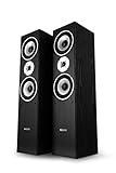 Bennett & Ross Radiant 3-Wege HiFi Standlautsprecher Paar (350W RMS, 6,5'...