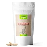 Astragalus membranaceus | 120 x Kapseln - 1640 mg Tagesdosis | Wurzelpulver...