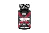 Weider - Premium Tribulus - Hochdosierter Tribulus Terrestris Extrakt -...