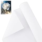 OLYCRAFT 27.3cm x 5m Leinwand auf Rolle Doppelt Grundierte Baumwoll...