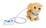 Simba 105890064 - ChiChi LOVE Loomy Golden Retriever (20 cm) - interaktiver...