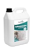 SuperBau Kaliwasserglas 5L, Vielseitige Anwendung – für Beton...