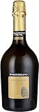 Borgo Molino Prosecco Extra Dry (1 x 0.75 l)