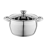 Florina Oliver 22 cm 4,8 L Edelstahltopf mit Glasdeckel | Für Induktion,...