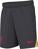 Nike Liverpool Fc Shorts LFC Y Nk Df Strk Short Kz3R, Dk Smoke Grey/Chrome...