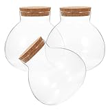 Healeved 3 Stück Mikrolandschaft Ökoflaschen Rundes Glas mit...