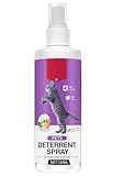 Katzenabwehrspray, Natürlich Effektiv Hundeabwehrspray, Kratzschutz Katze...