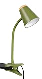 Reality Leuchten LED Klemmleuchte Pongo R25831115, Kunststoff Grün,...