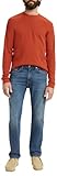 Levi's Herren 505 Regular Fit StraightJeans , Glowing, 36W / 32L