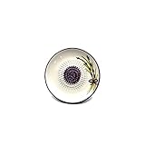 Kaladia - Keramik Reibeteller/Keramikhobel - ideal für Ingwer, Parmesan...