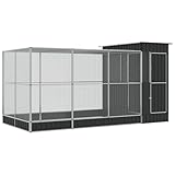 vidaXL Voliere mit Erweiterung Silbern 416x203x216 cm Stahl