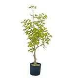 Künstlicher Bonsai-Baum, künstliche Bäume, Ginkgo-Bäume, künstliche...