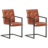 YITHOPI Freischwinger 2 STK. Braun Echtleder Wohnzimmerstühle...