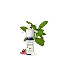 Puressentiel - Ätherisches Öl Wintergrün Bio 10 ml - BBDÄÖ - 100% rein...